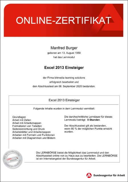 Microsoft Excel 2013 Einsteiger