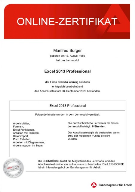Microsoft Excel 2013 Professional